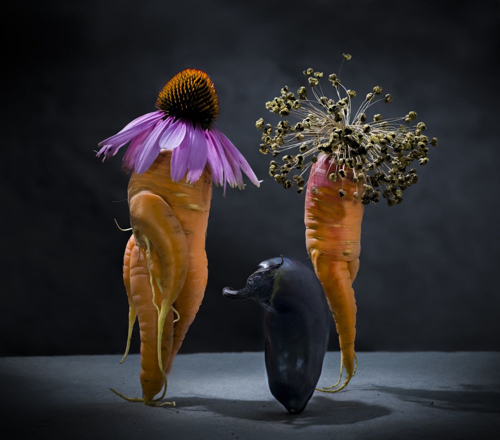 Фотография автора Черновол Валентин