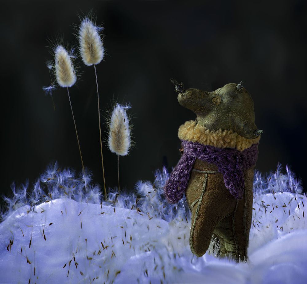 Фотография автора Черновол Валентин