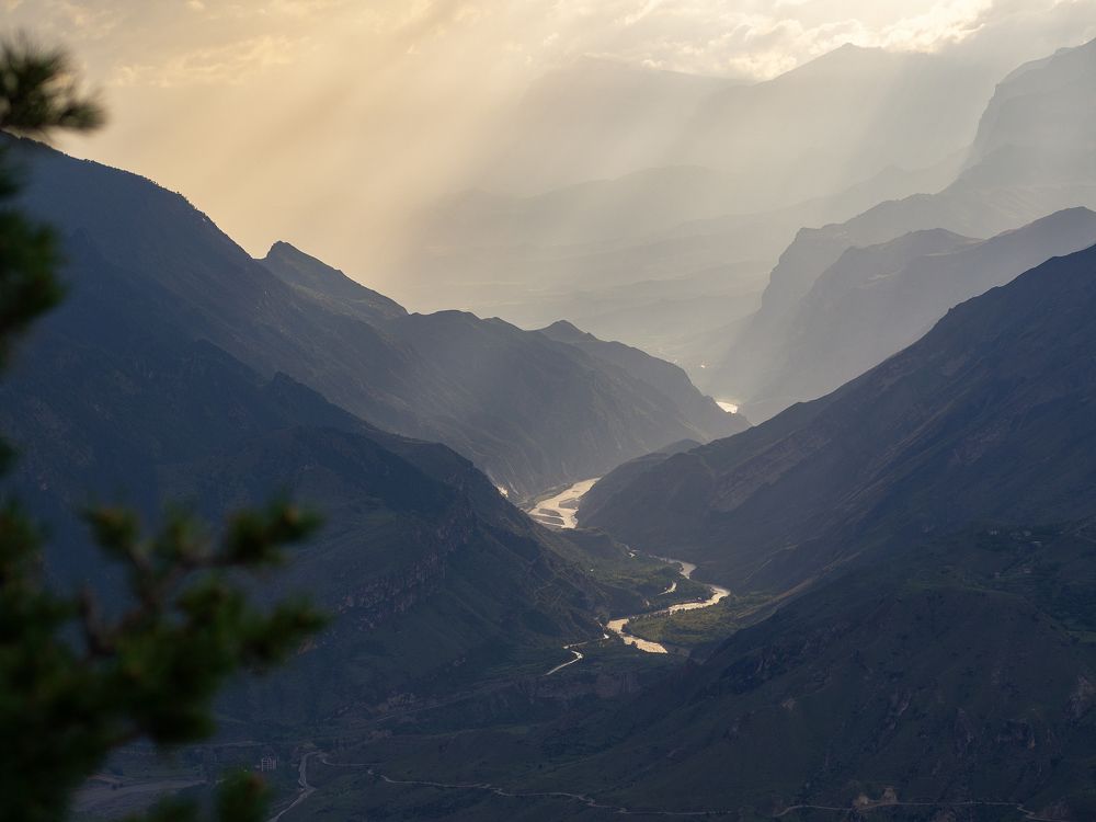 Photograph by Larisa Usova