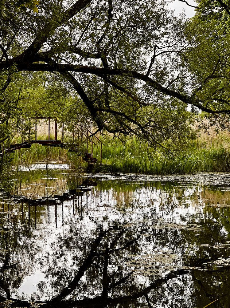 Photograph by надежда плавник