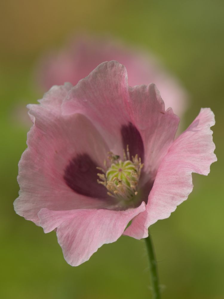 Photograph by Руслан Гончар