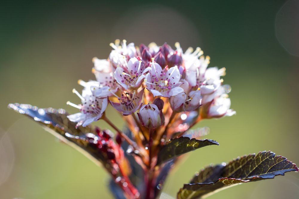 Photograph by Пономарев Илья
