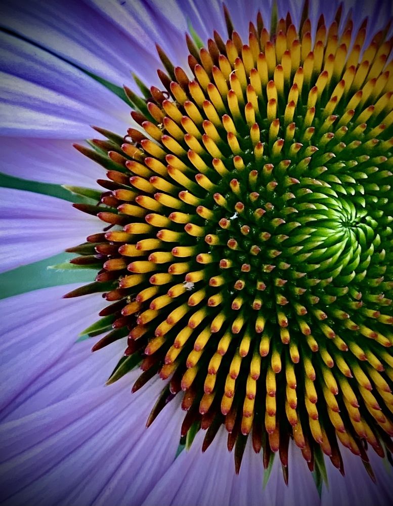 Photograph by Наталья Никитина