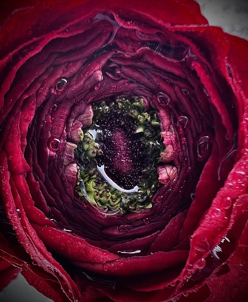 Photograph by Наталья Никитина