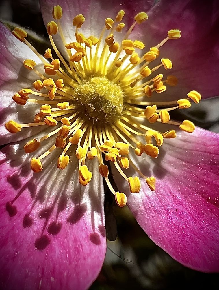 Photograph by Наталья Никитина