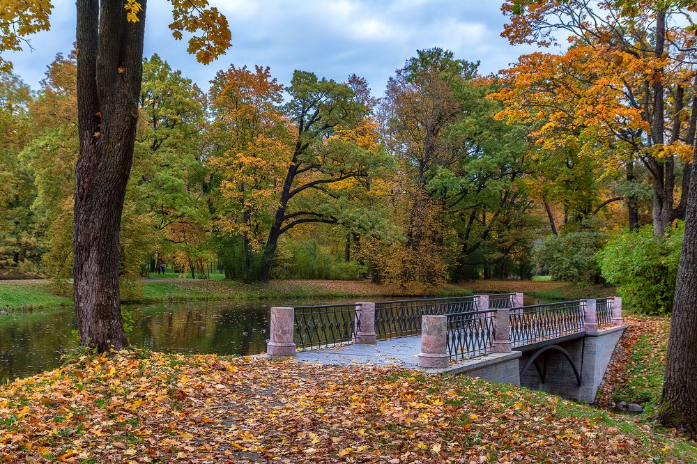 Photograph by Светлана Ващенко