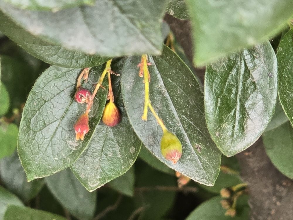 Photograph by Татьяна Дмитриева