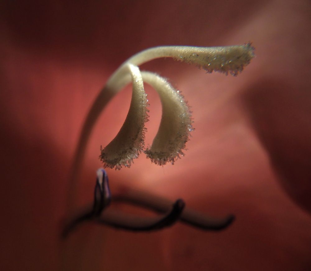 Photograph by Лада Денисова