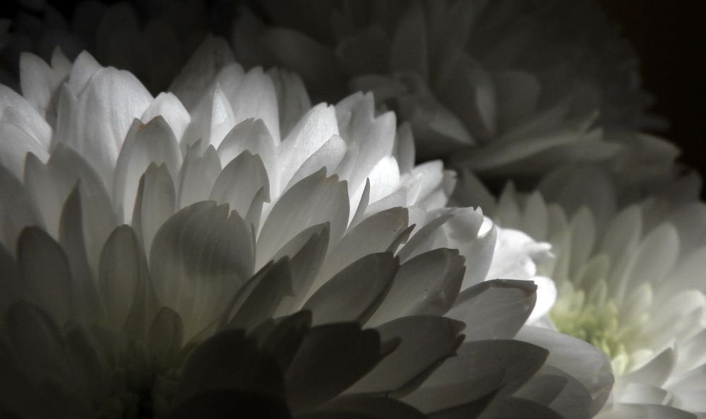 Photograph by Лада Денисова