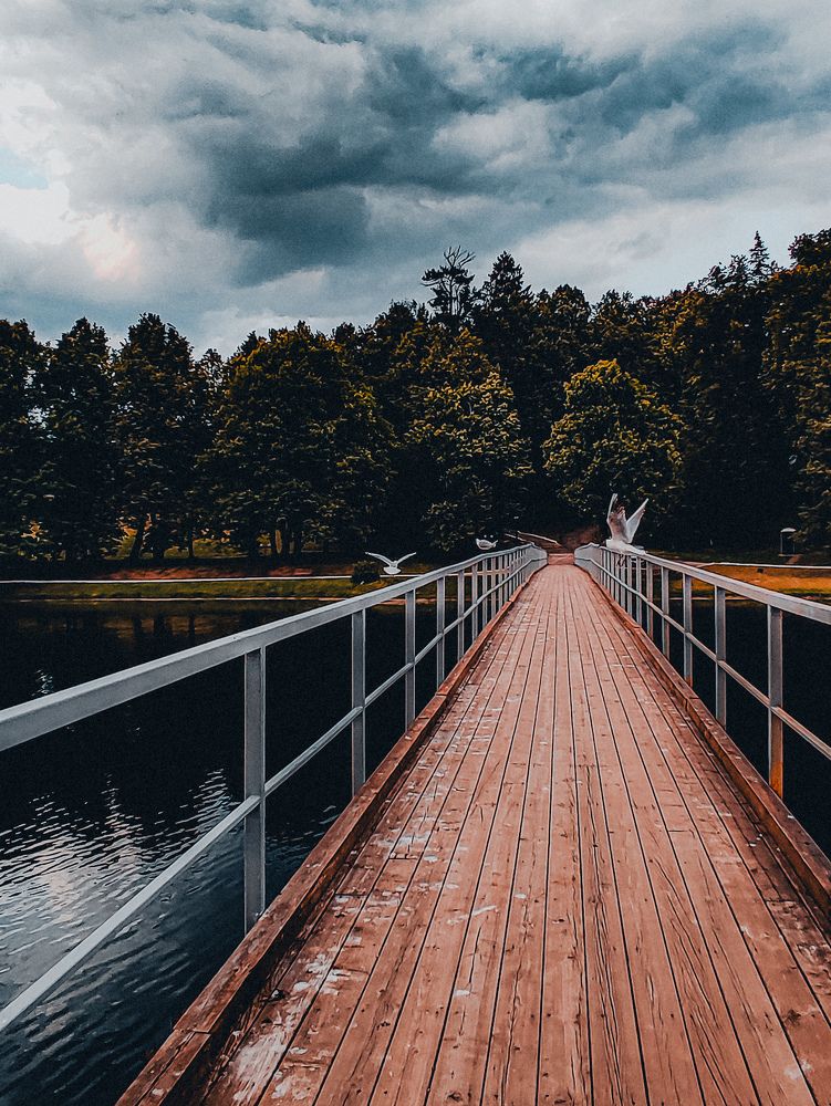 Фотография автора Нина Зинченко