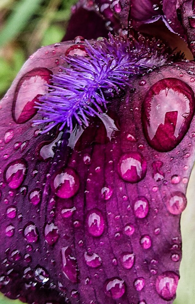 Фотография автора Elena Ku