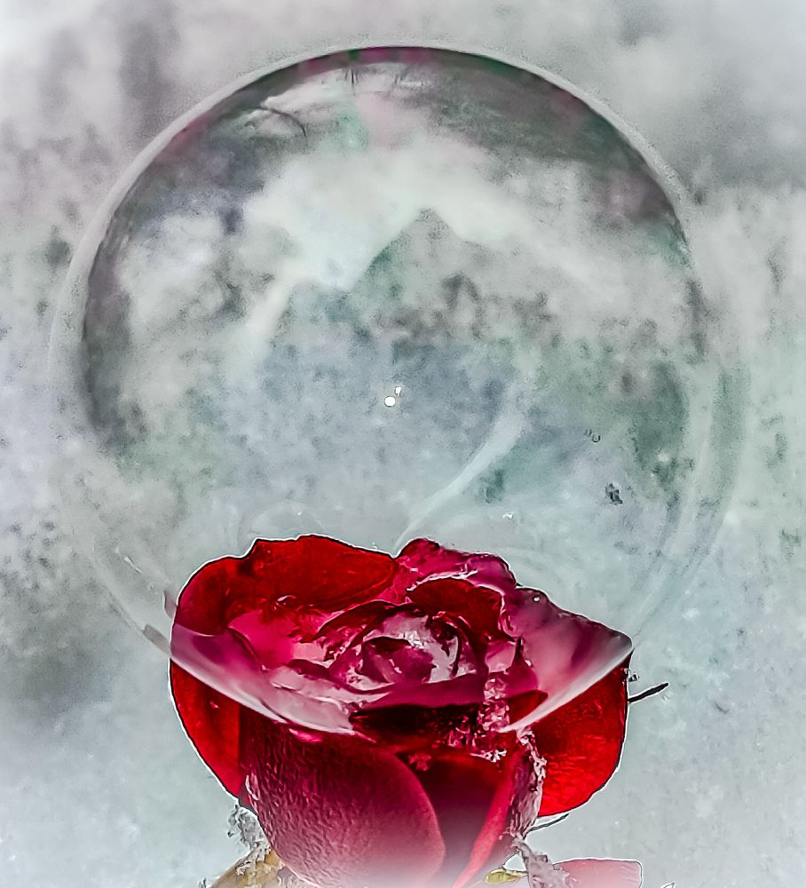 Фотография автора Нина Зинченко