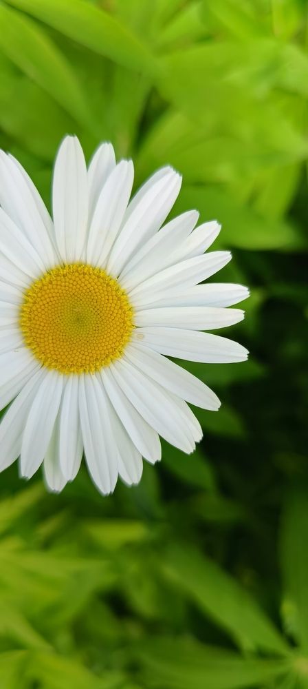 Photograph by Анастасия Устинова