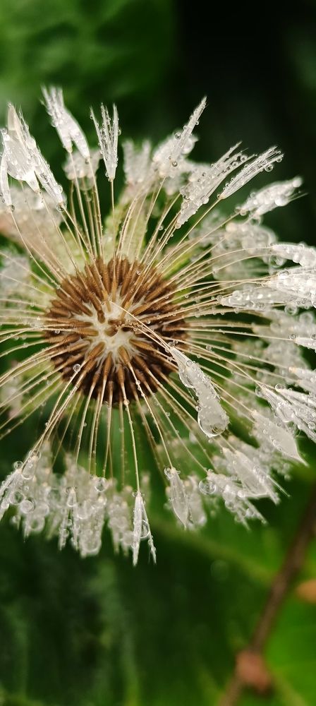 Photograph by Анастасия Устинова