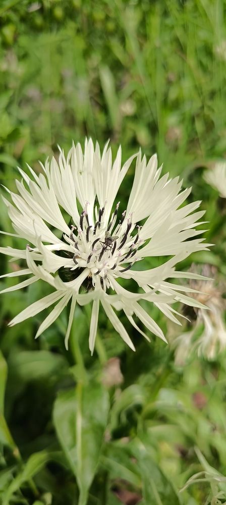 Photograph by Анастасия Устинова