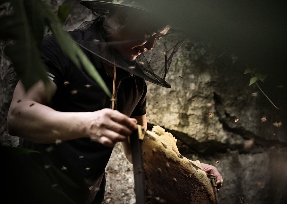 Фотография автора Minh Le (Lee)