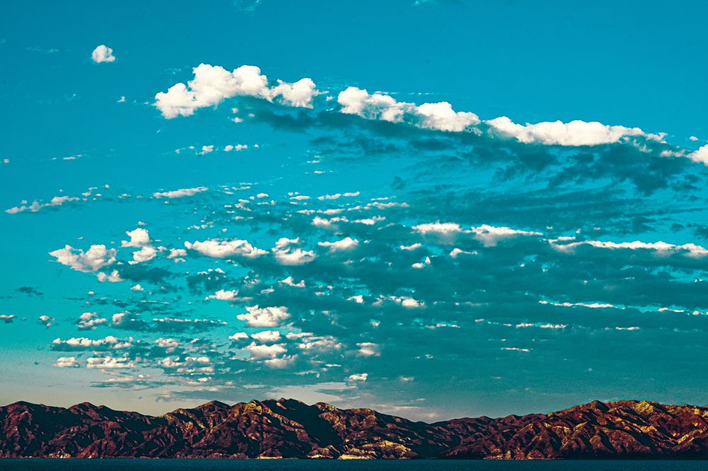 Patterns, fractals in the magic of blues and greens.