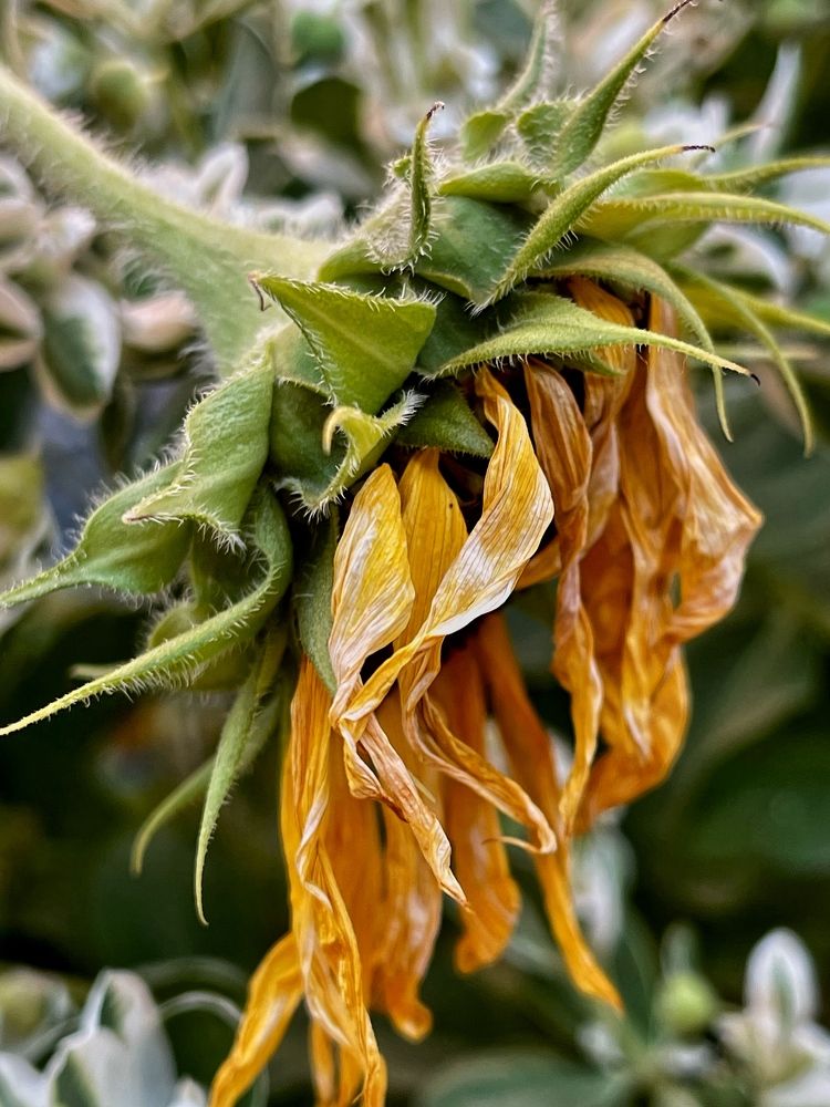 Фотография автора Кристина Тяттэ