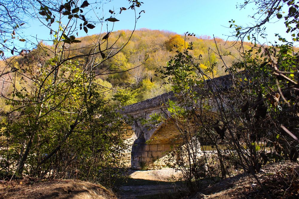 Photograph by Ирина Дмитриенко