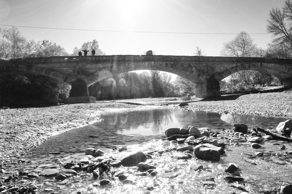 Photograph by Ирина Дмитриенко