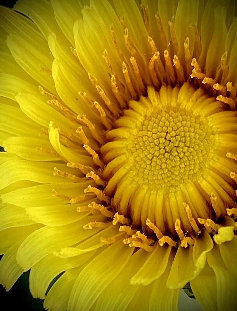 Photograph by Наталья Никитина