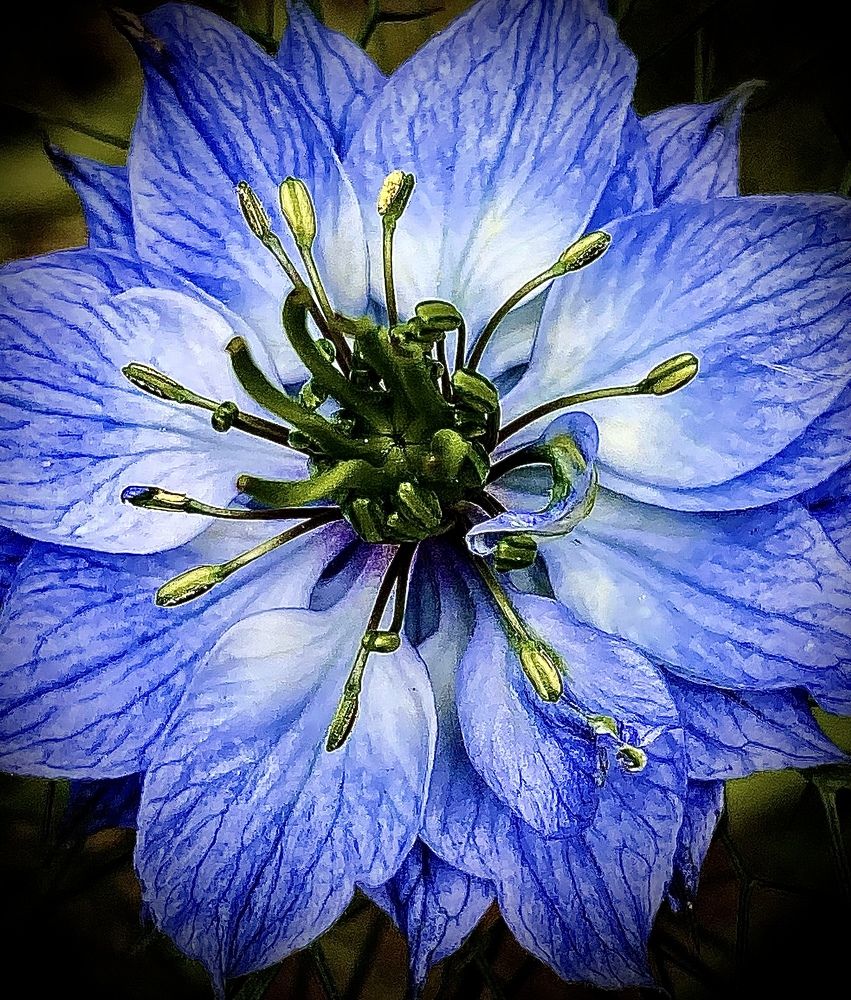 Photograph by Наталья Никитина