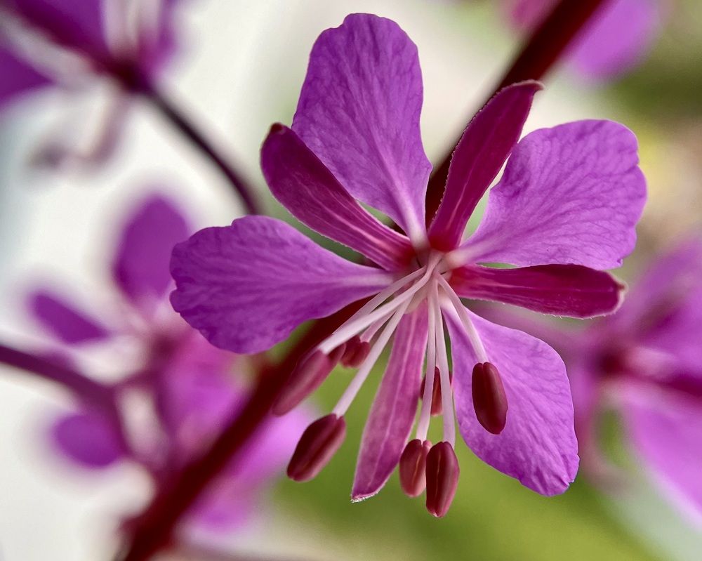 Photograph by Татьяна Раковская