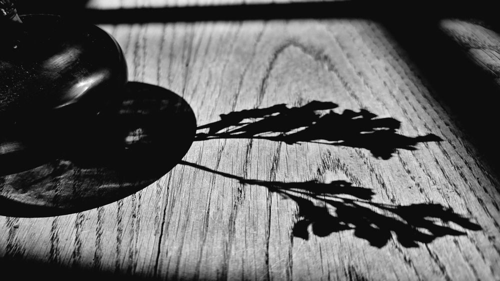 Photograph by Анна Семенова