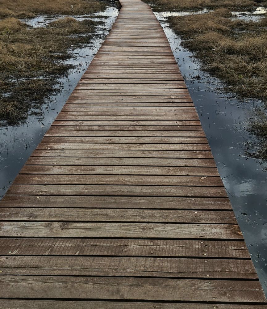 Photograph by Анна Семенова