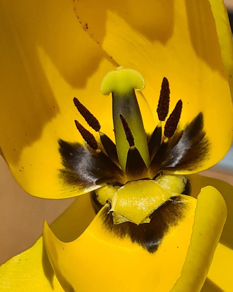 Photograph by Татьяна Соколовская