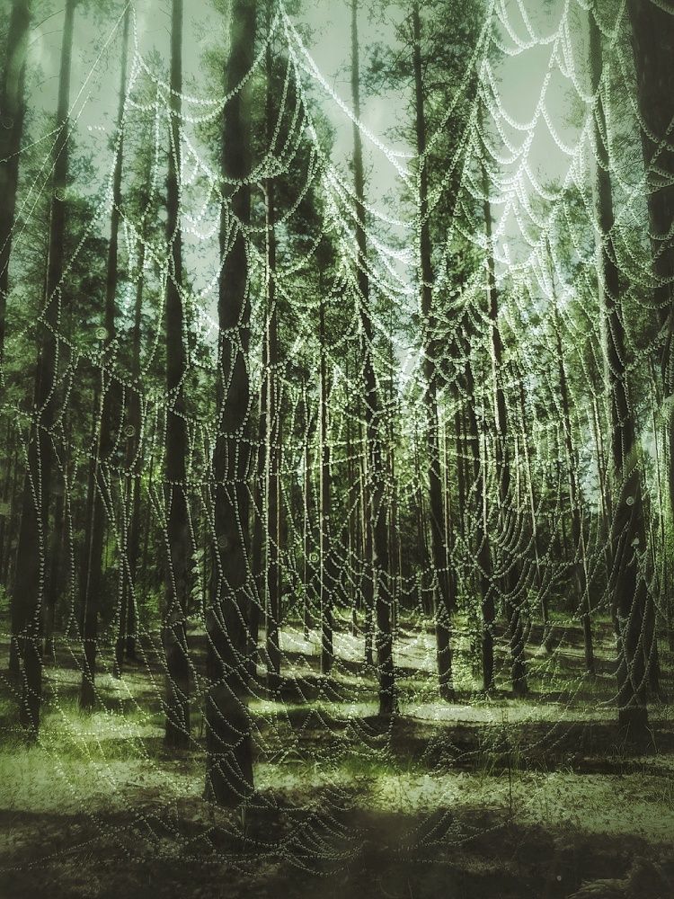 Photograph by Марина Мальцева