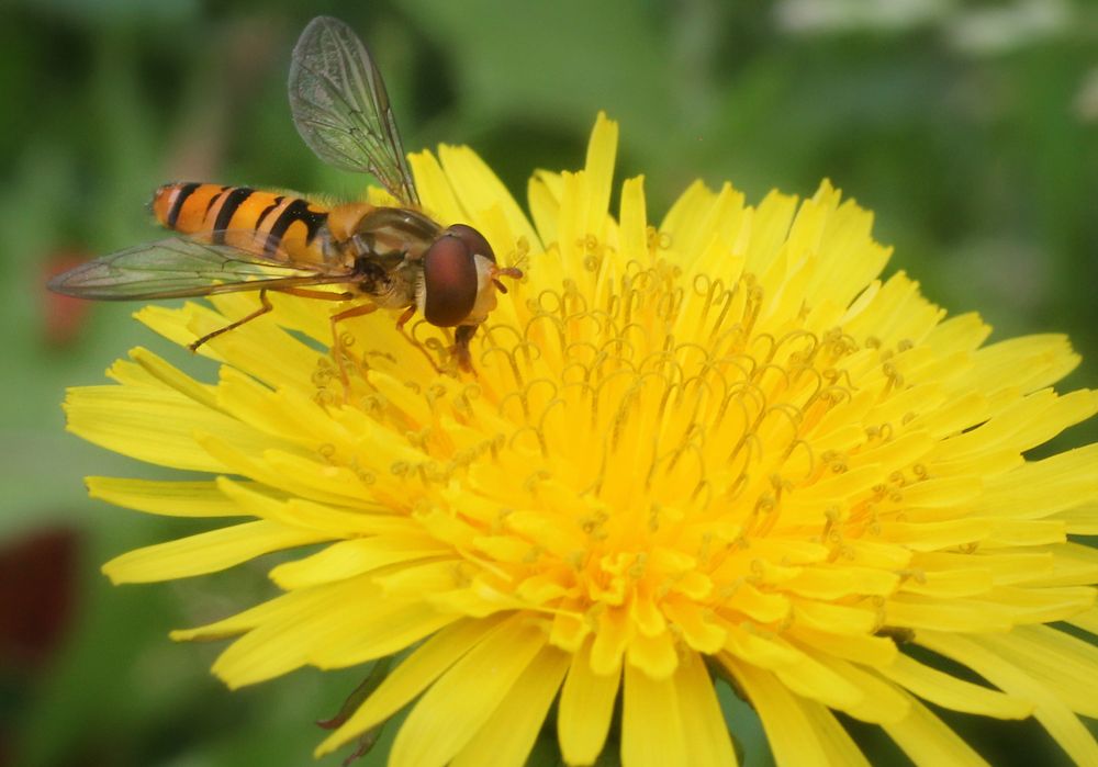 Photograph by Виталий Першин