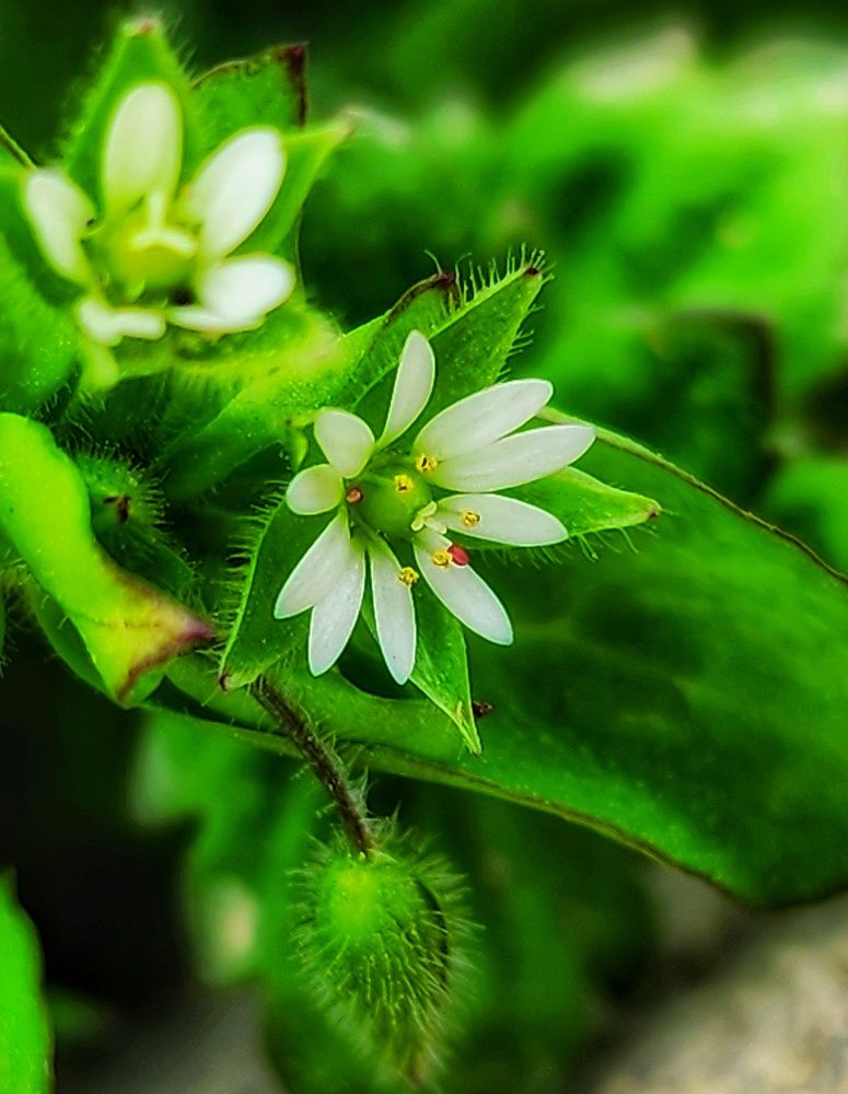 Фотография автора reyhane  khavaninzadeh