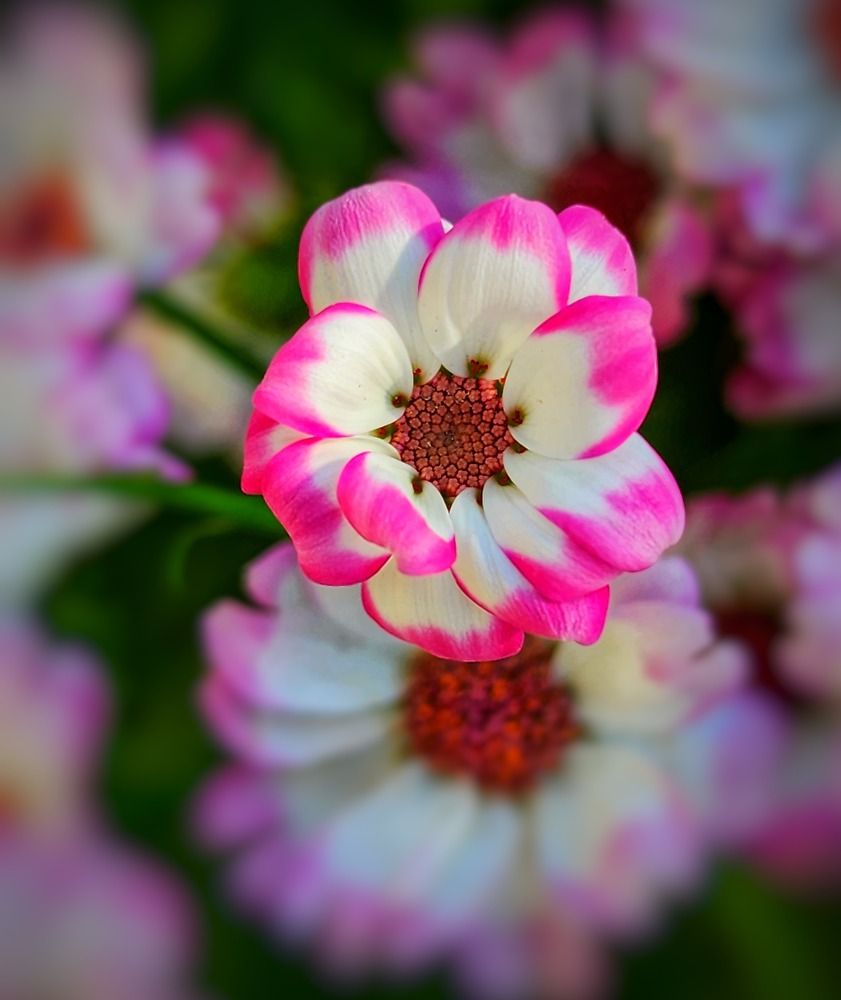 Фотография автора reyhane  khavaninzadeh