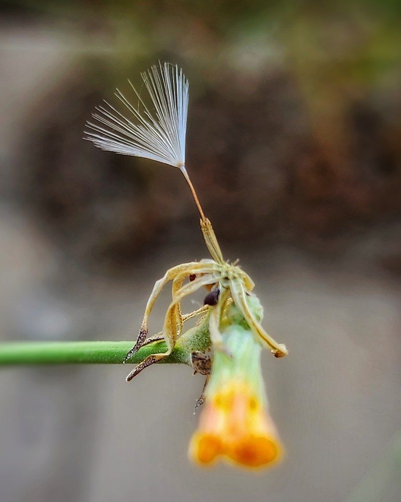 Фотография автора reyhane  khavaninzadeh