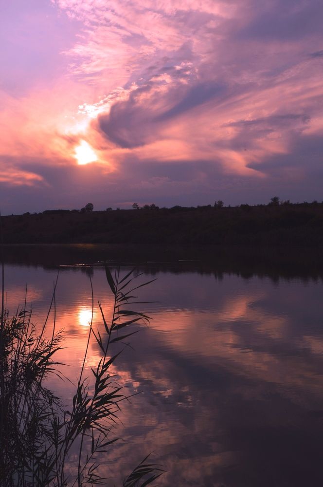 Photograph by Наталья Назаренко