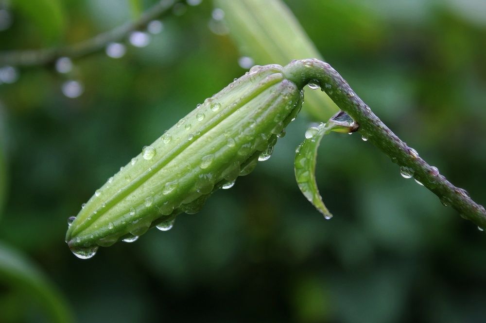 После дождя.