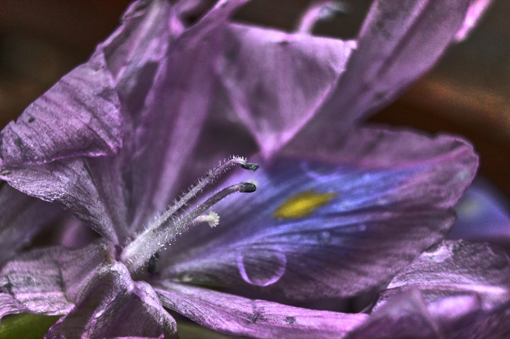 Фотография автора Наталия Мащенко