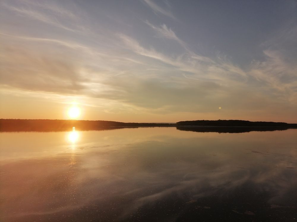 Photo #10923321