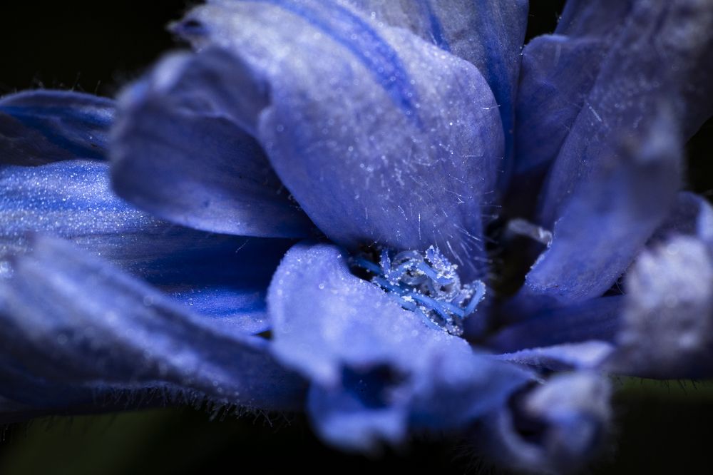 Photograph by Александр Купцов