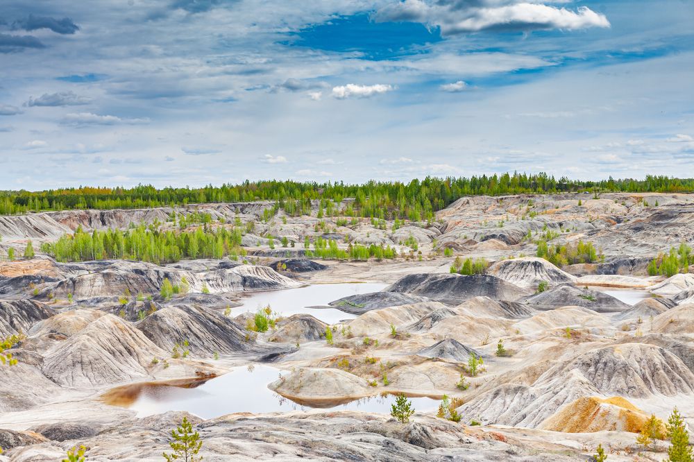 Фотография автора Евгений Даренский