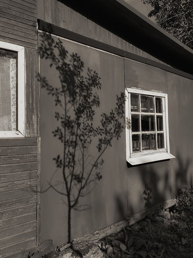 Photograph by Вячеслав Щёголев