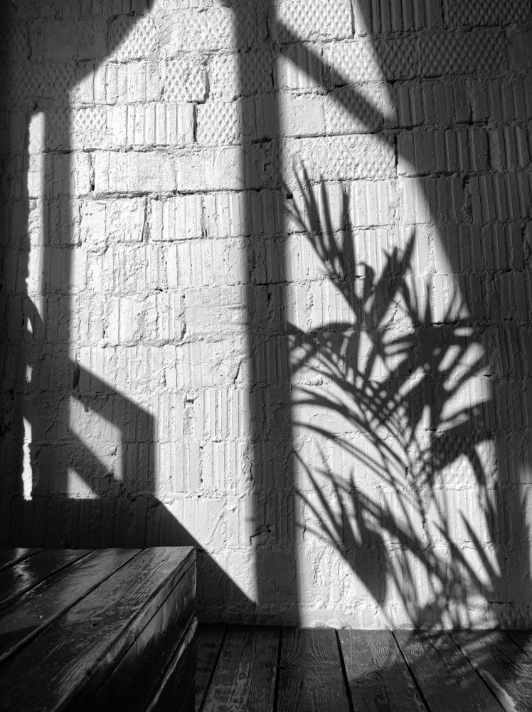 Photograph by Вячеслав Щёголев