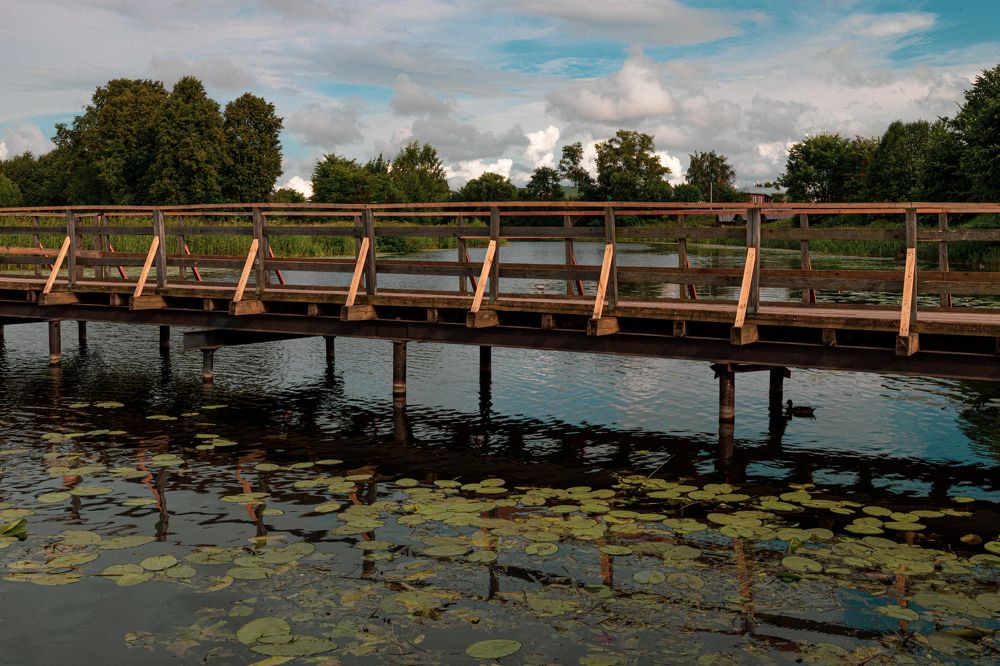 Фотография автора Ирина Гриценко