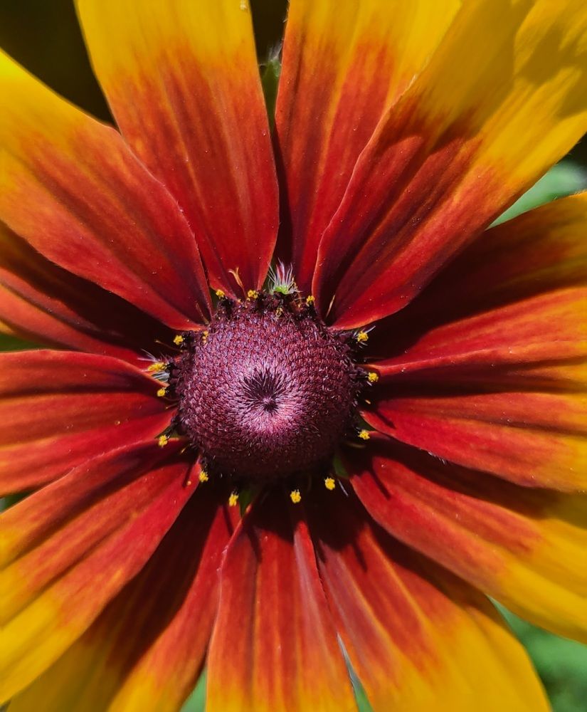 Photograph by Татьяна Бухтиярова