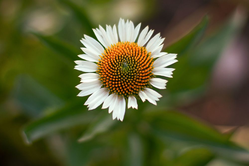 Photograph by Забудская Наталья