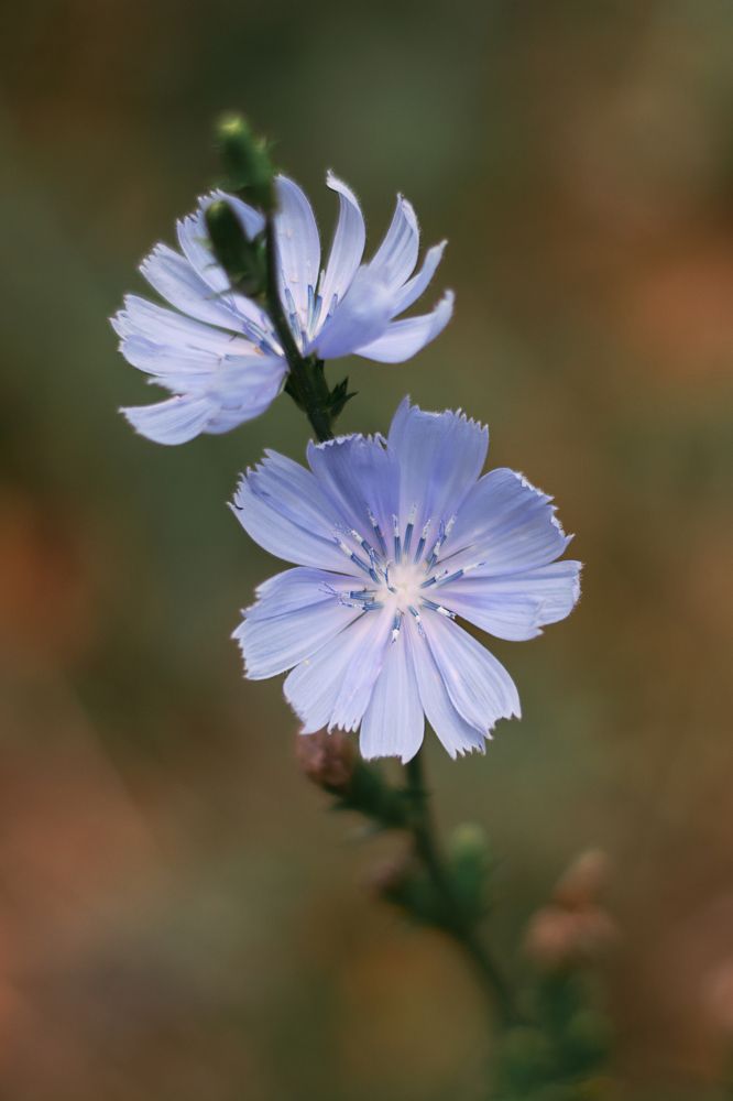 Photograph by Забудская Наталья