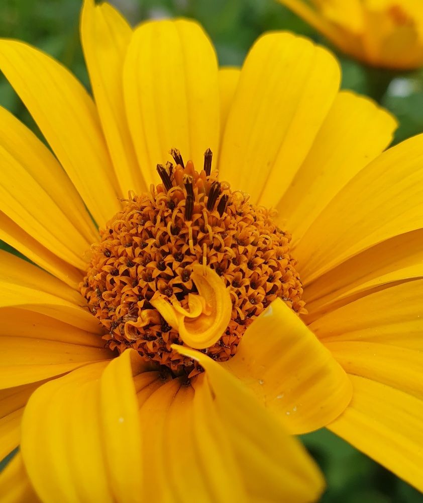 Photograph by Жанна Регор