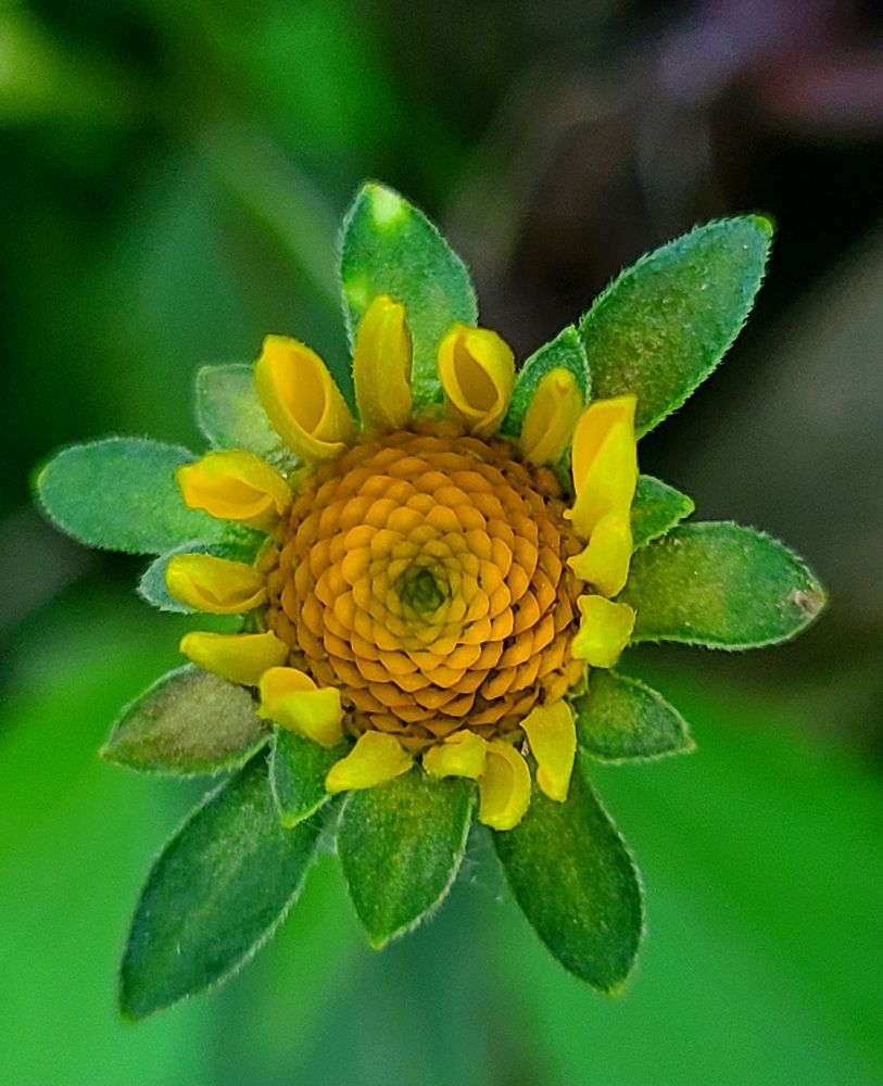 Photograph by Татьяна Бухтиярова