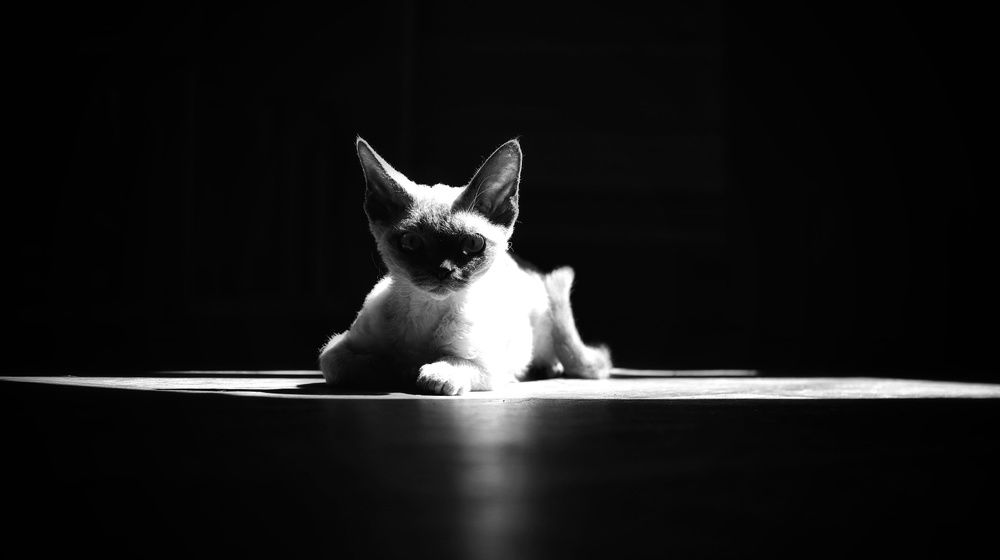 Photograph by Татьяна Федченко